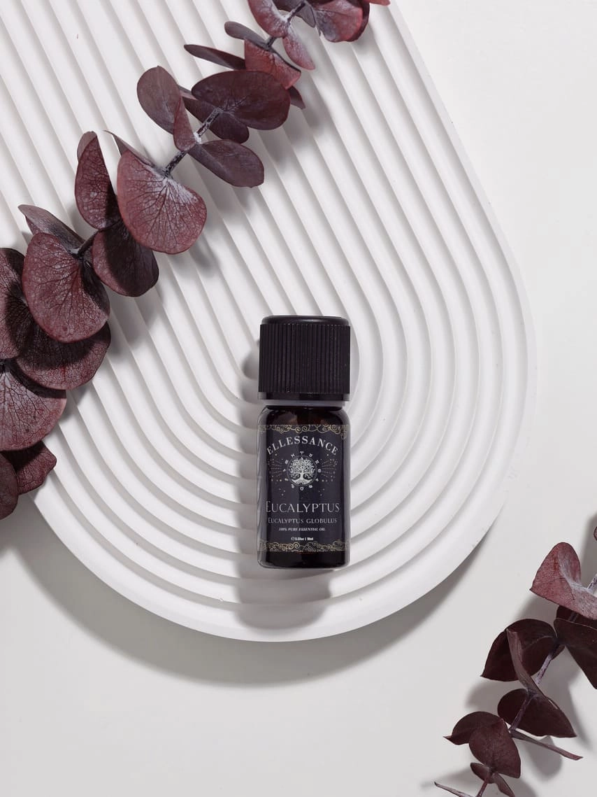 фото Эфирное масло эвкалипт Ellessance, 10 мл в интернет магазине косметики Стикс 7