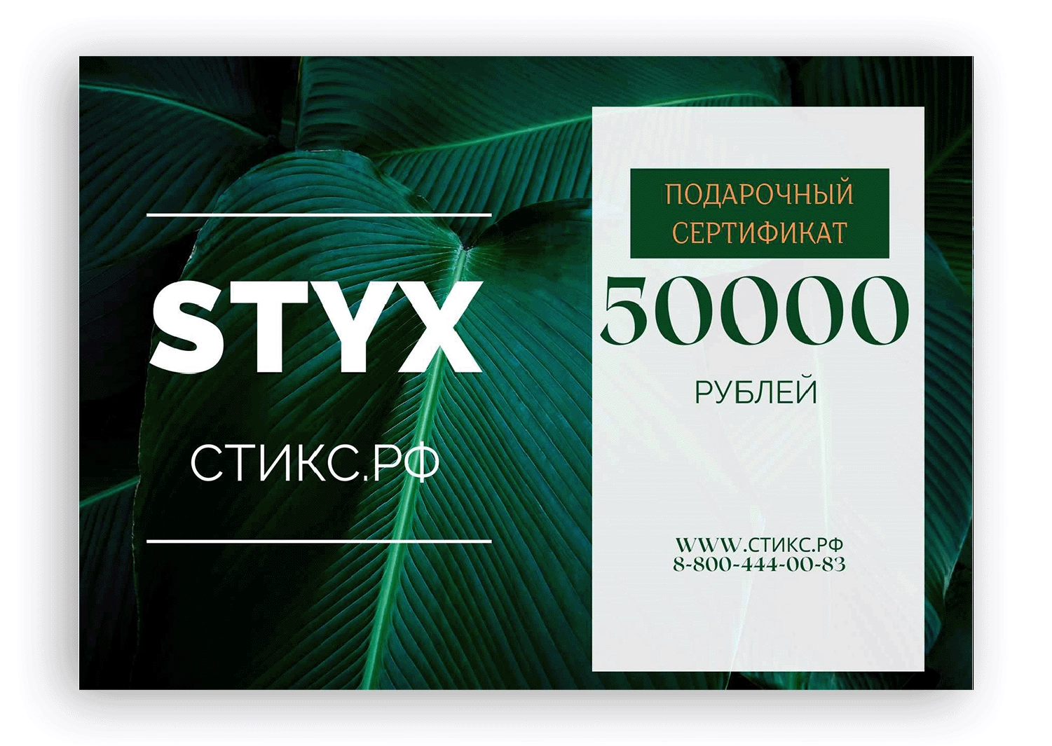 СЕРТИФИКАТ НА 50,000 р