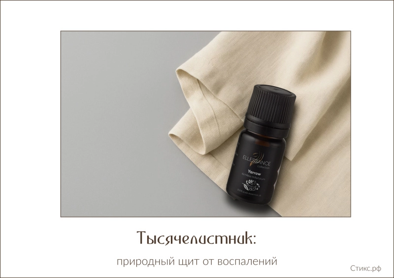 Тысячелистник: природный щит от воспалений