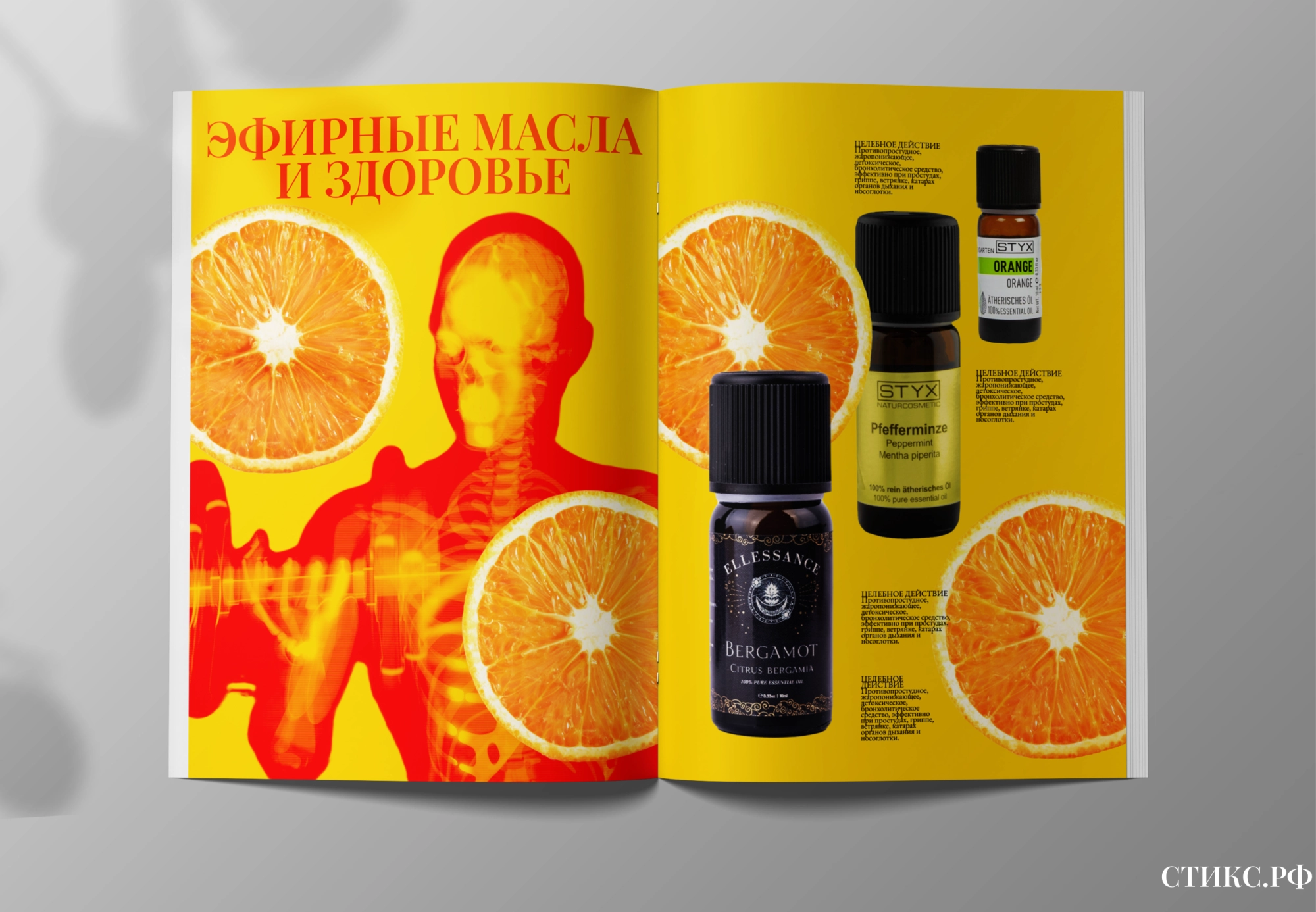 Влияние эфирных масел на иммунную систему: целительная сила природы
