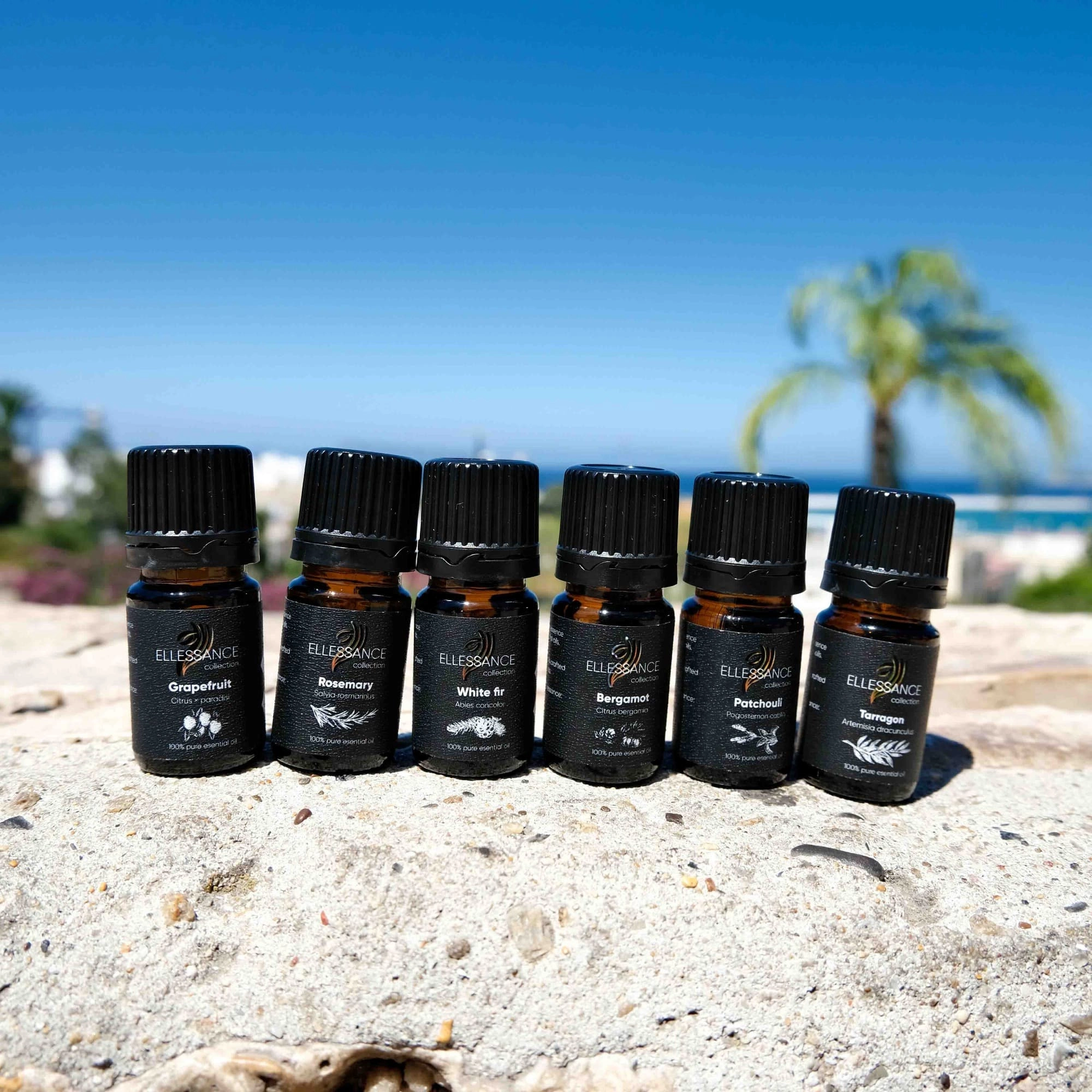 фото Эфирное масло бергамот Ellessance, 5 мл в интернет магазине косметики Стикс 16