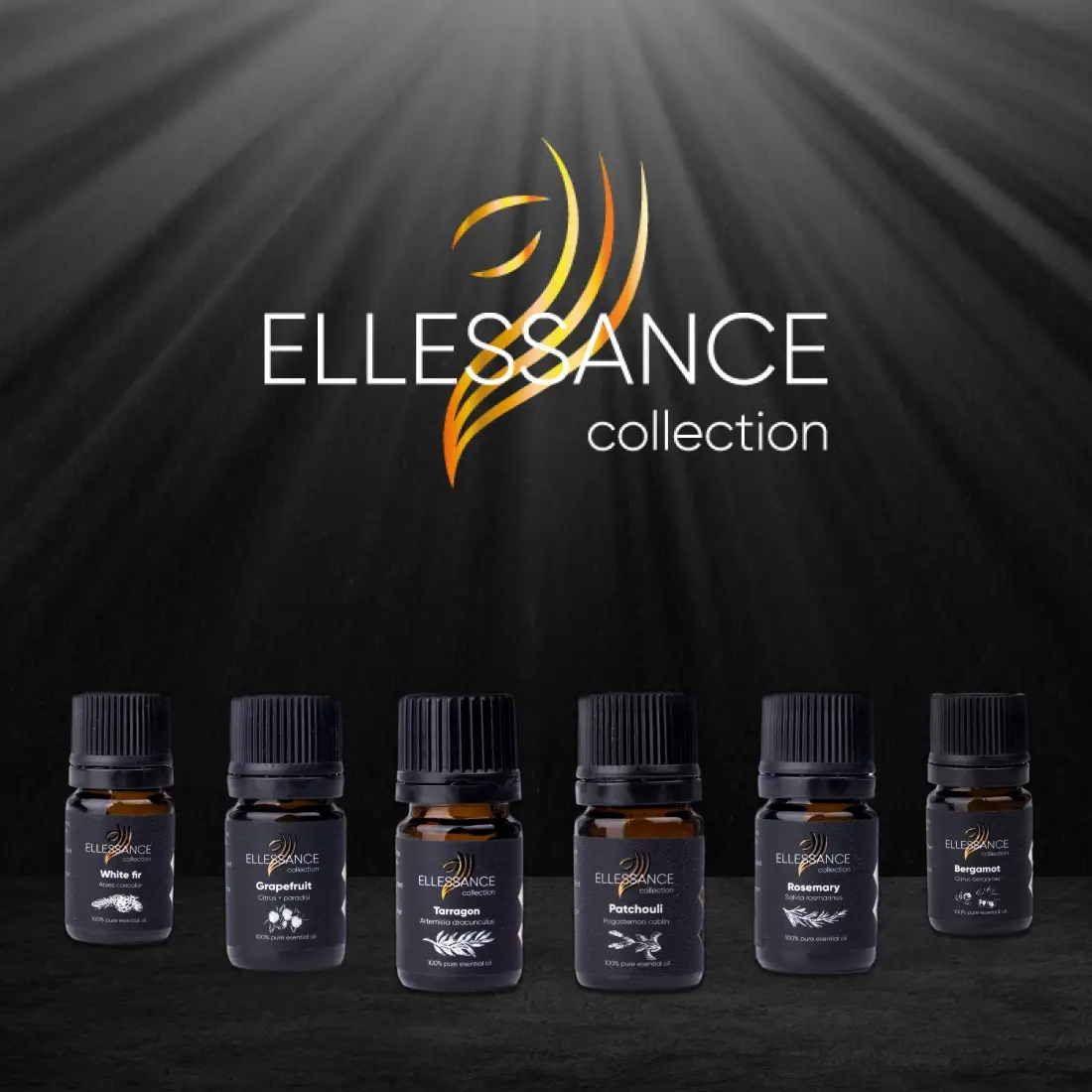 Линейка косметики Ellessance